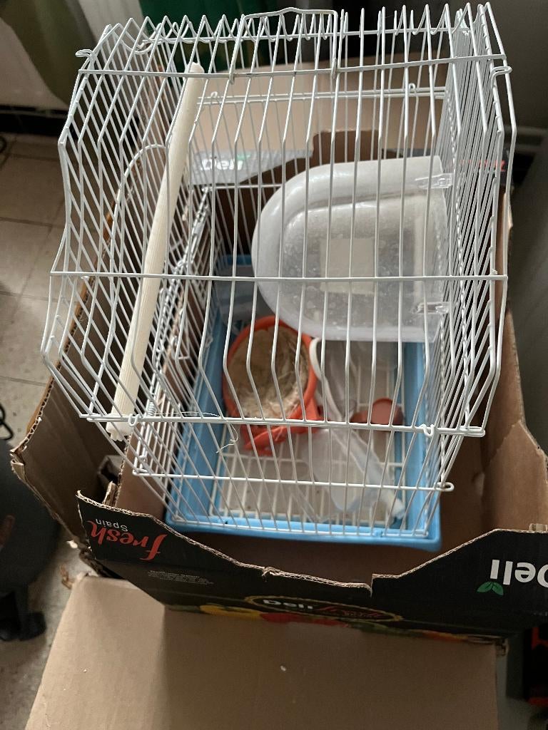 CAGE CANARIS, Enlèvement, Comme neuf