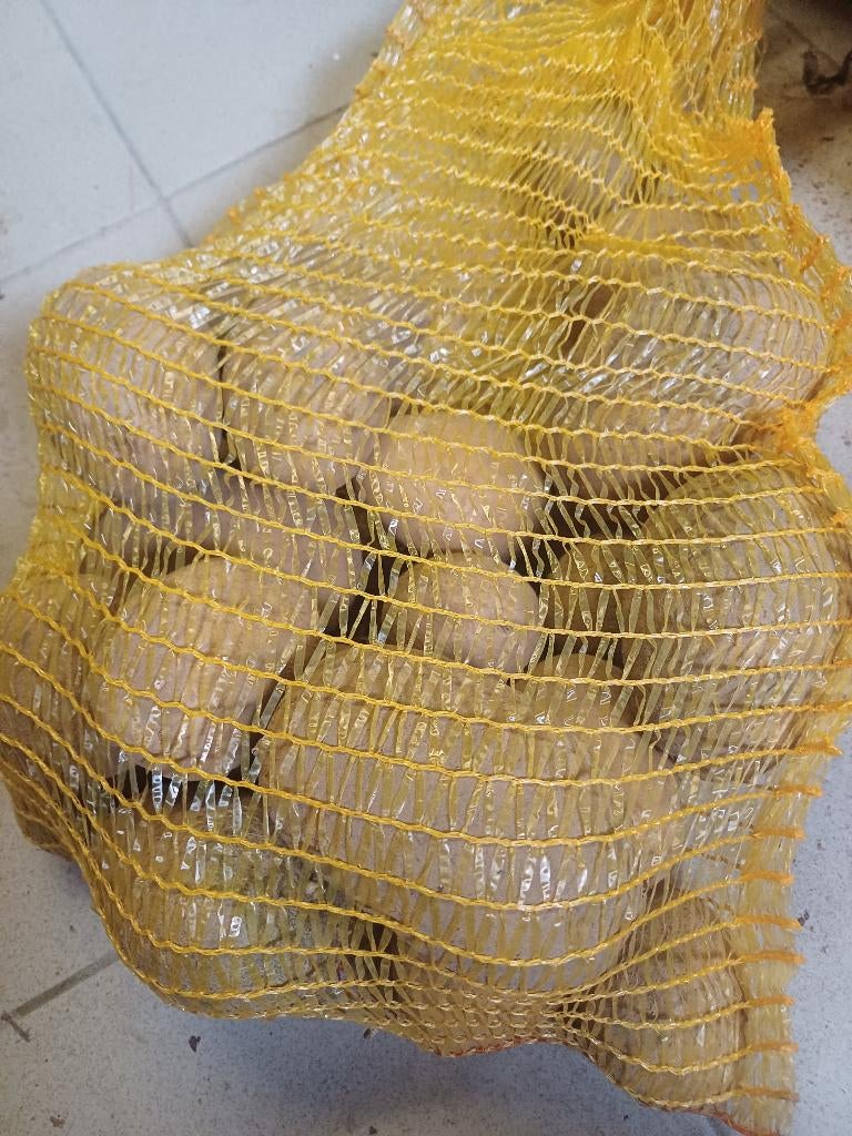 Vend pomme de terre par petites et grandes quantité, Enlèvement, Technique de pomme de terre