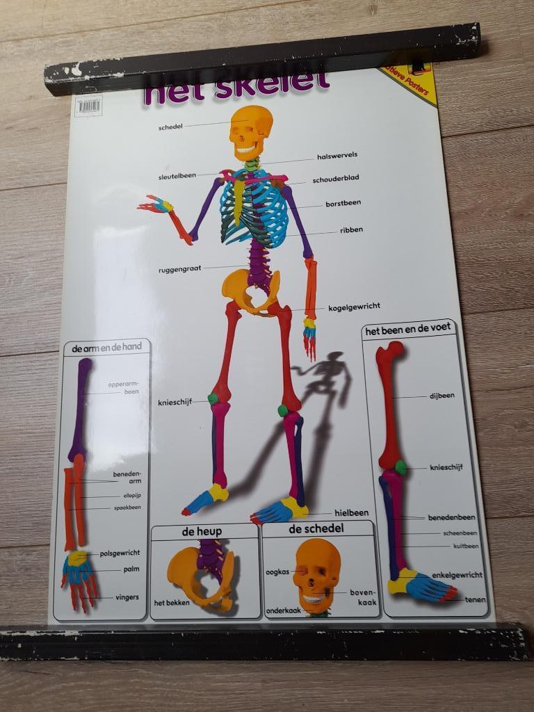 educatieve wandplaten, Ophalen, Zo goed als nieuw