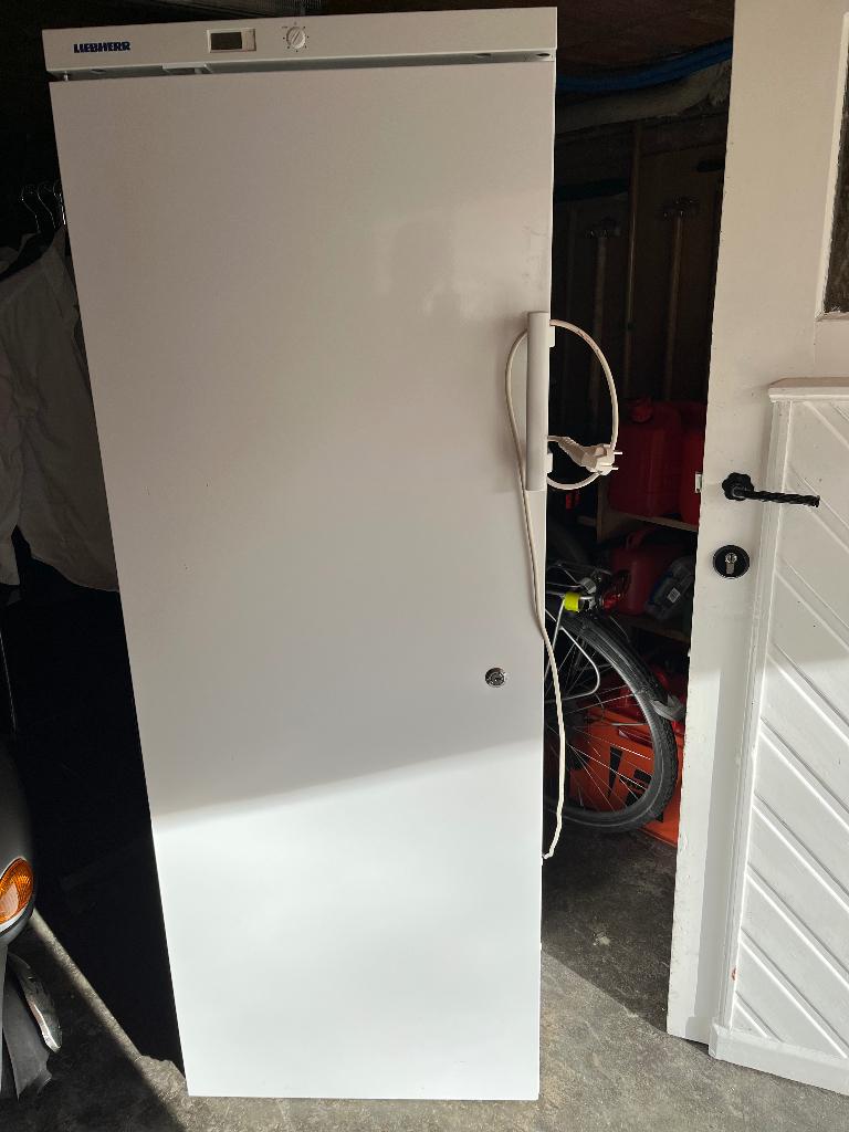 Liebherr frigo professioneel zeer goede staat, Elektronische apparatuur, Koelkasten en IJskasten, Ophalen, Zonder vriesvak, 200 liter of meer