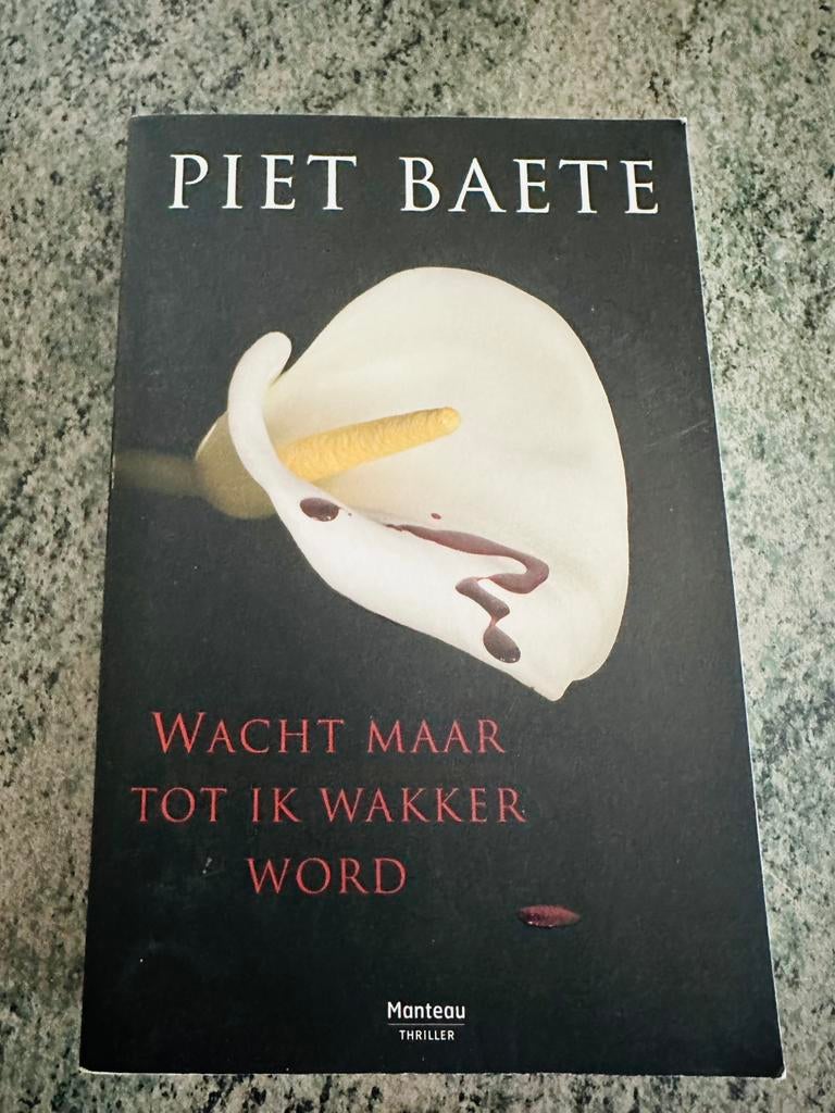 Piet Baete: wacht maar tot ik wakker word, Boeken, Ophalen of Verzenden, Zo goed als nieuw