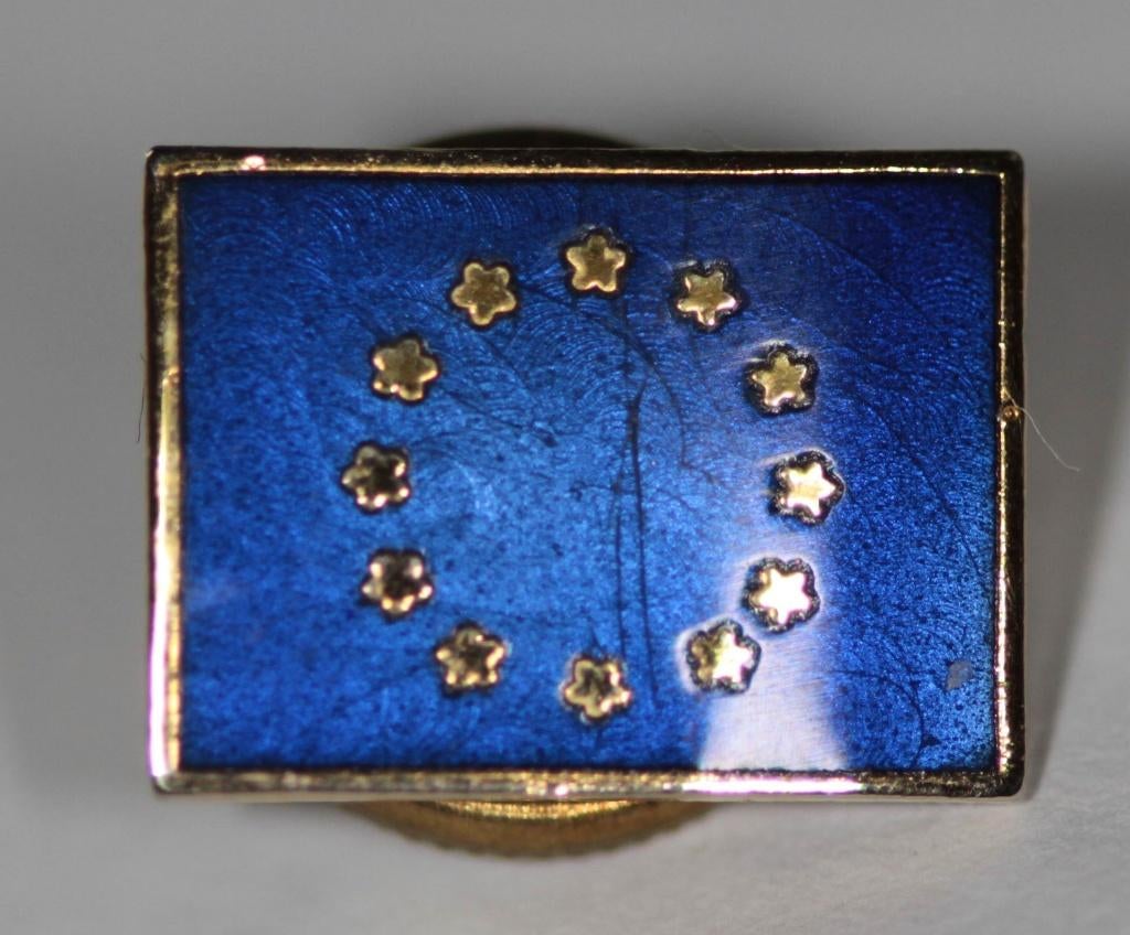 Épingle à boutonnière Europe, Enlèvement ou Envoi, Comme neuf, Autres sujets/thèmes, Insigne ou Pin's