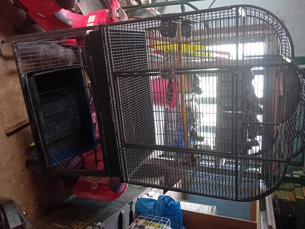 Mooie grote vogelkooi tekoop, Ophalen, Zo goed als nieuw, Metaal, Vogelkooi
