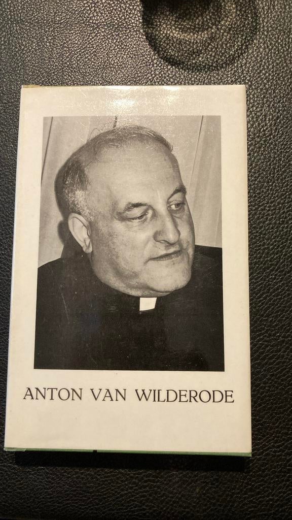 Boek “Anton Van Wilderode”, Ophalen of Verzenden