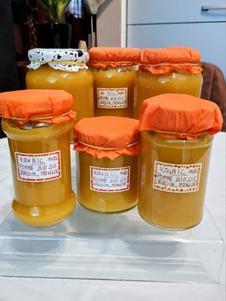 Confiture MAISON ARTISANALE à la POMME BIO DU JARDIN/MANGUE, Divers, Enlèvement