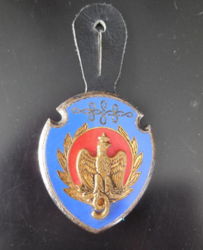 Insigne de poche sur la poitrine - Insigne de poche - 9eme r, Enlèvement ou Envoi, Armée de terre, Emblème ou Badge