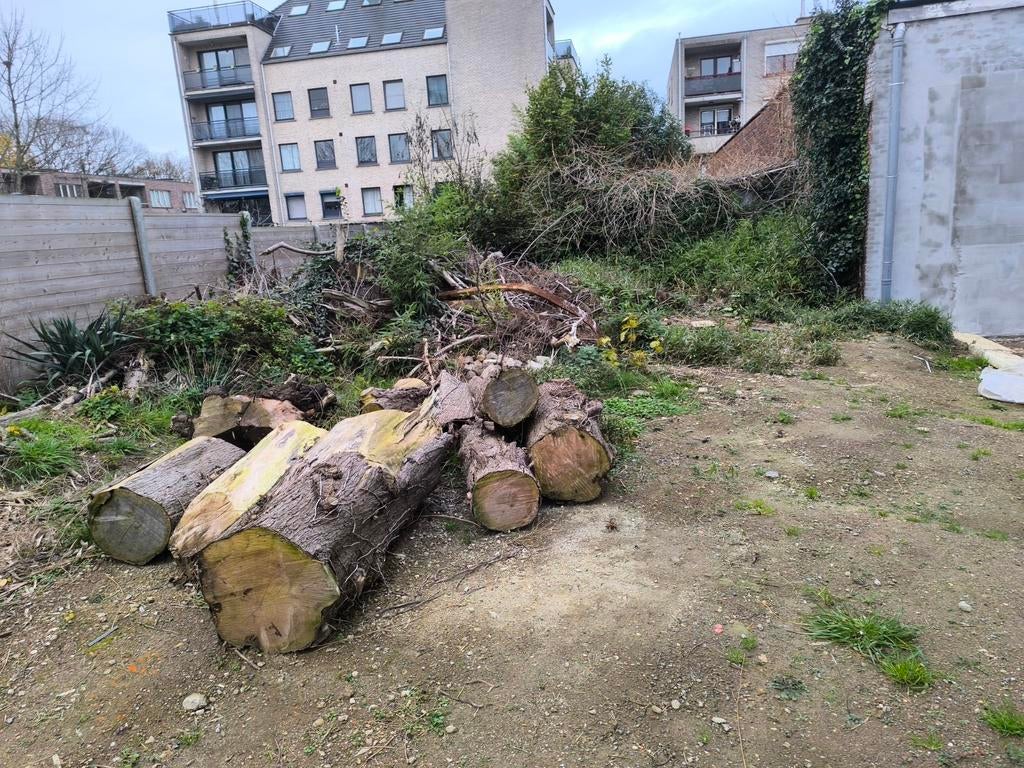 gratis brandhout plus groen en struiken ook meenemen aub, Tuin en Terras, Brandhout, Ophalen, Takken
