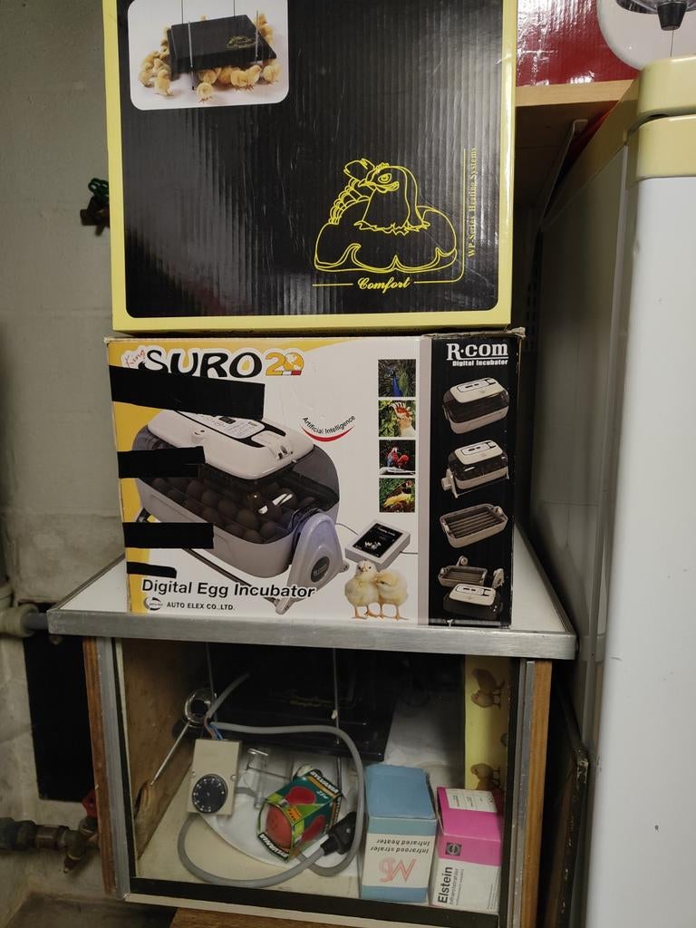 Pack complet couvain et poussin - incubateur + chauffage