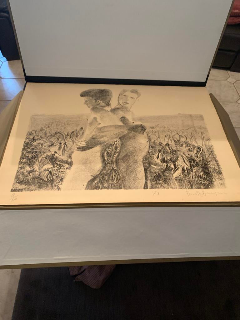 Litho ets dees de bruine, Ophalen