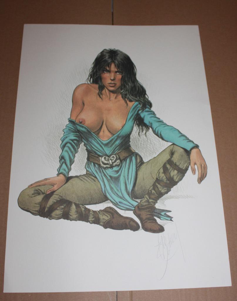 Delaby 35/50 cm signée par l'auteur, TTB état (comme neuve)., Une BD, Enlèvement ou Envoi, Comme neuf