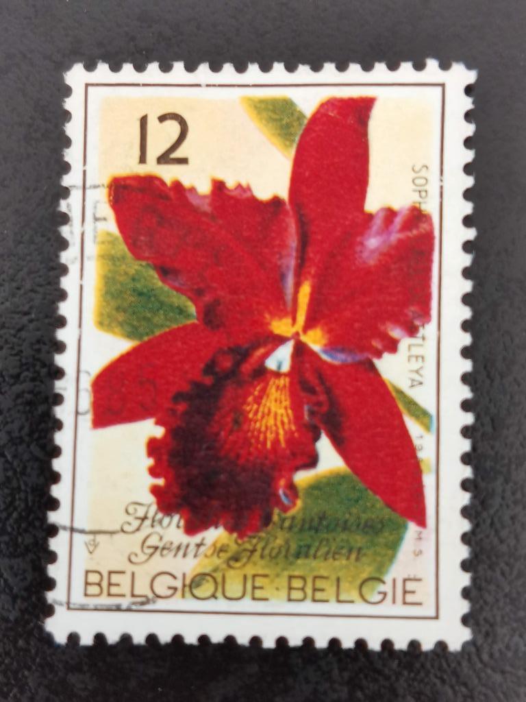 Belgie 1985 - Gentse Floralien - bloemen - orchideeën, Postzegels en Munten, Ophalen of Verzenden, Gestempeld
