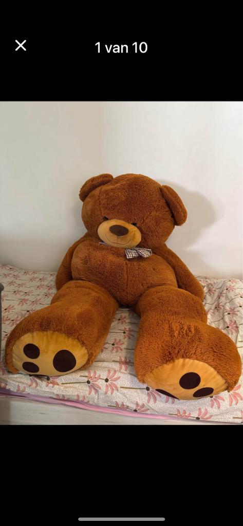 Grote teddybeer, Antiek en Kunst, Ophalen