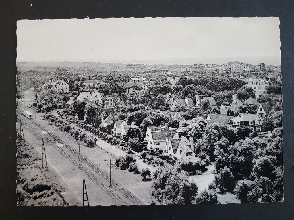 Postkaart De Haan Coq s/mer Panorama zicht op watertoren, Ophalen of Verzenden, 1960 tot 1980, Ongelopen, West-Vlaanderen