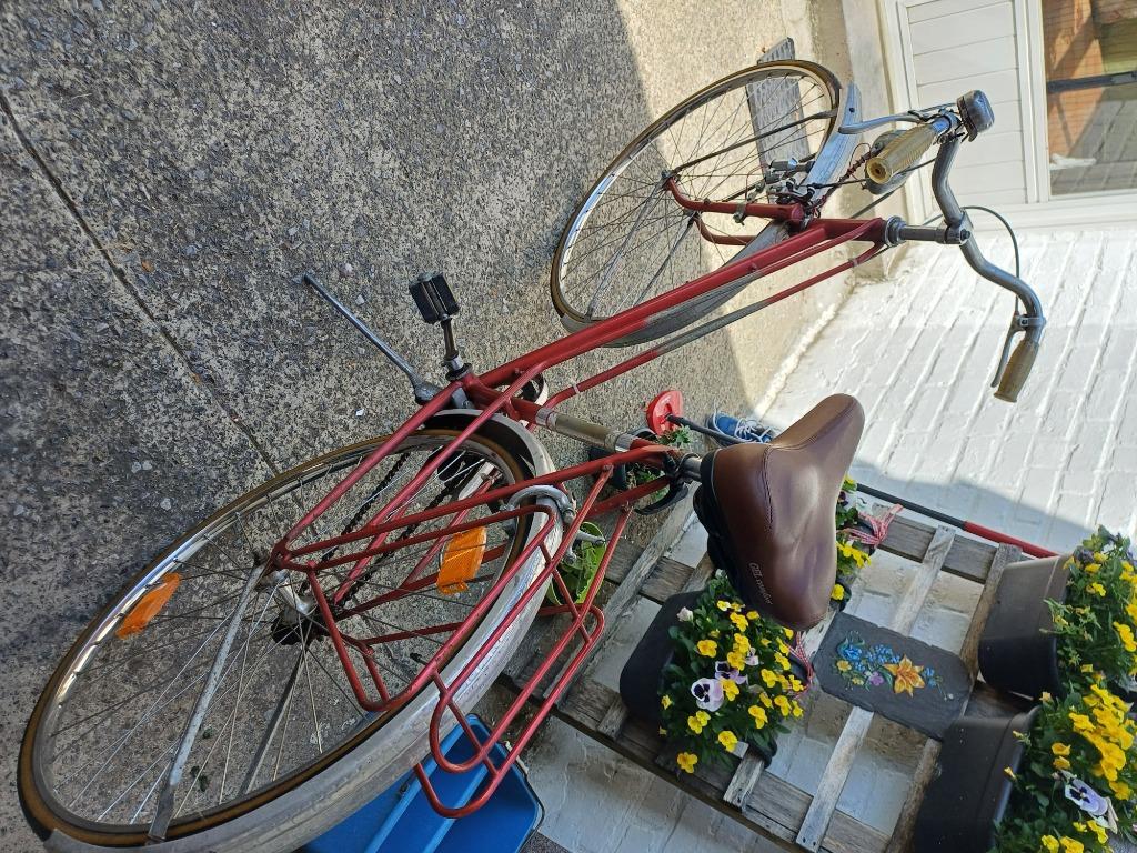 Velo, 51 à 55 cm, Enlèvement, Années 60 ou plus récent