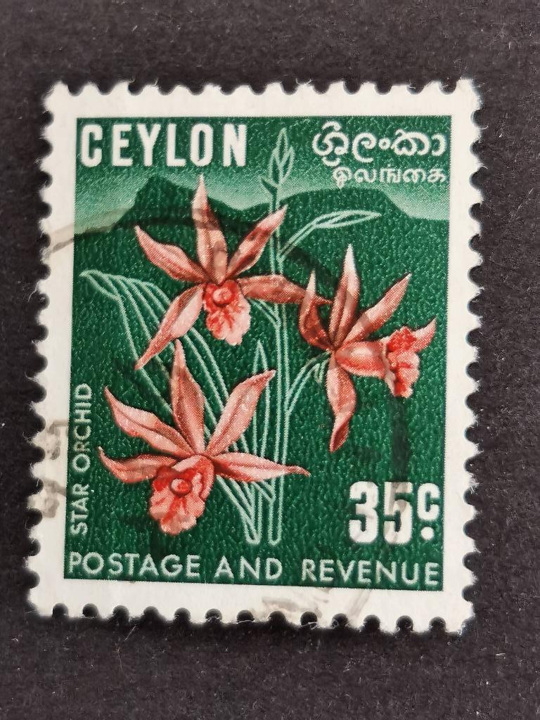 Ceylan 1951 - fleurs - lissage à pointes, Enlèvement ou Envoi, Affranchi, Asie du Sud