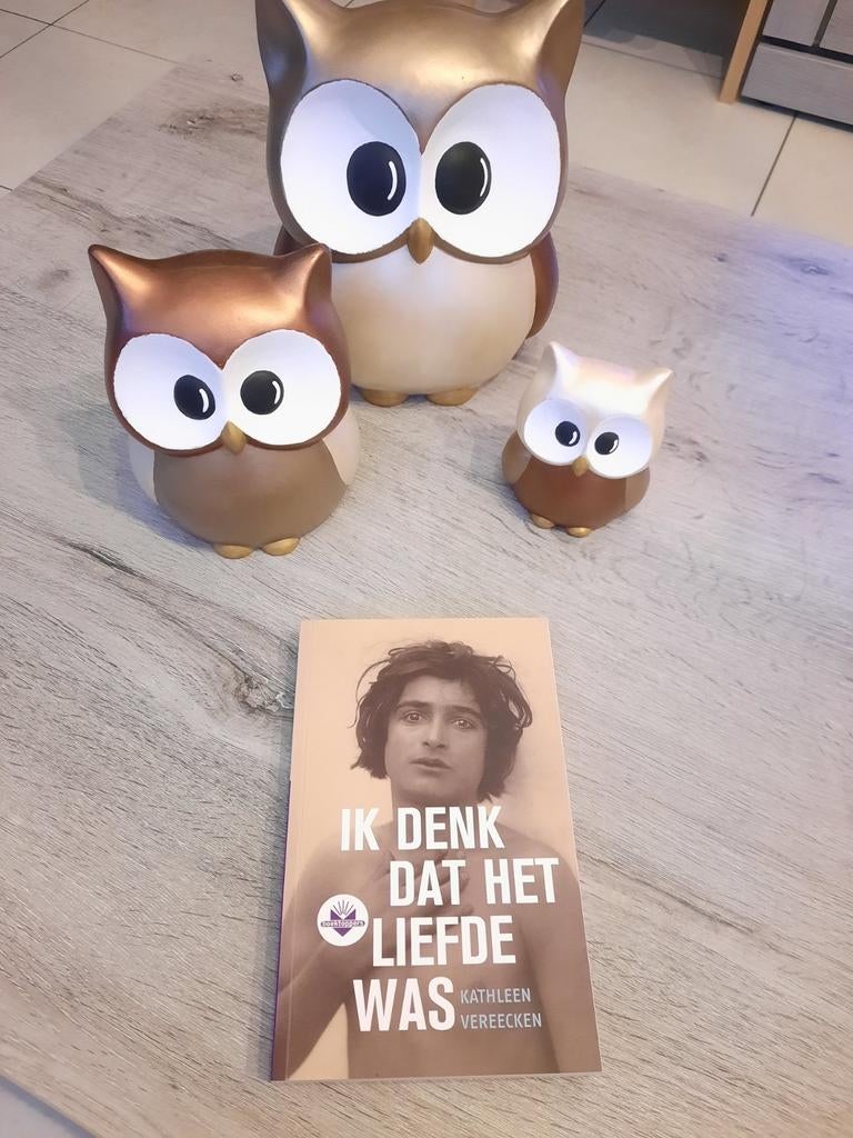 Kathleen vereecken - ik denk dat het liefde was, Boeken, Ophalen of Verzenden