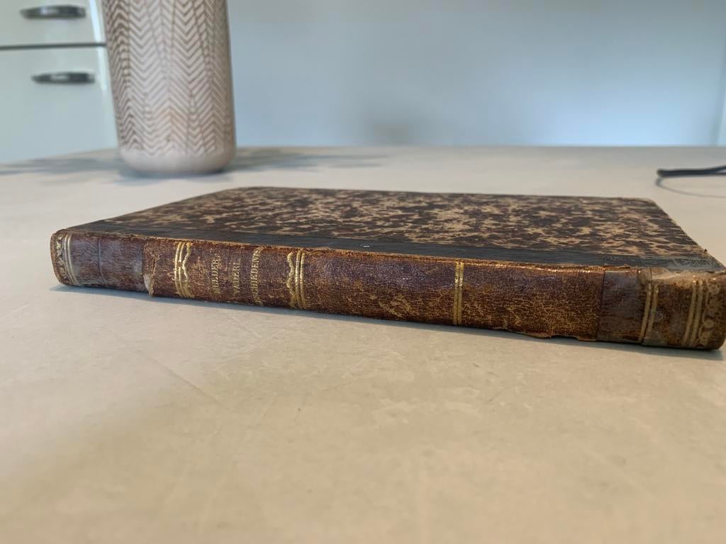 Antiek Boek 1867 Lodewijk Mulder Vaderlandsche geschiedenis, Antiek en Kunst, Ophalen of Verzenden