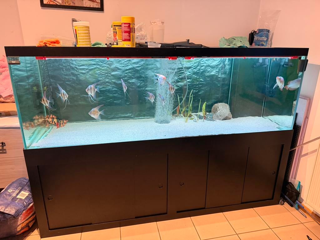 Groot aquarium 2m10x80x70, Dieren en Toebehoren, Vissen | Aquaria en Toebehoren, Ophalen, Zo goed als nieuw