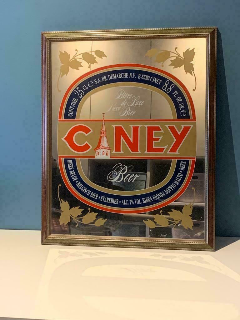 Miroir avec cadre Ciney, Enlèvement ou Envoi, Rectangulaire, Moins de 50 cm, Moins de 100 cm