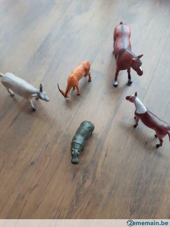 Animaux, Utilisé