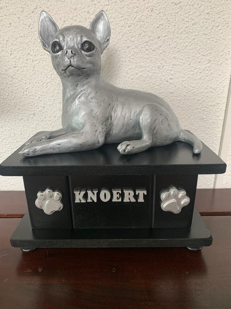 Chihuahua korthaar beeld met kistje als urnen set te koop, Verzenden, Nieuw