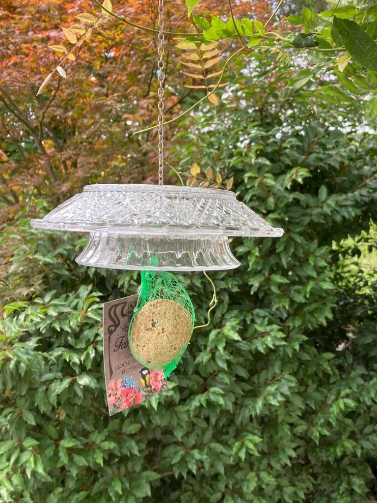 VOGEL VOEDERBEL GLAS HELDER NIEUW, Ophalen of Verzenden, Nieuw