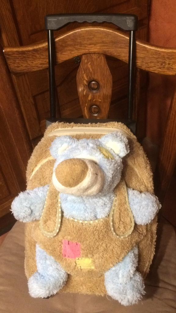 Mooie kinder trolley/rugzak/boekentasje met knuffel., Ophalen of Verzenden, Zo goed als nieuw, Beer