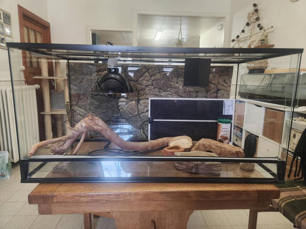 Terrarium, Dieren en Toebehoren, Ophalen, Gebruikt, Terrarium of Paludarium