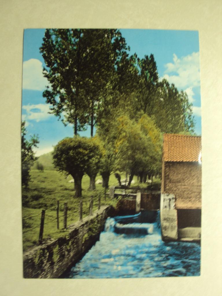51777 - TERLANEN - DE WATERMOLEN, Envoi