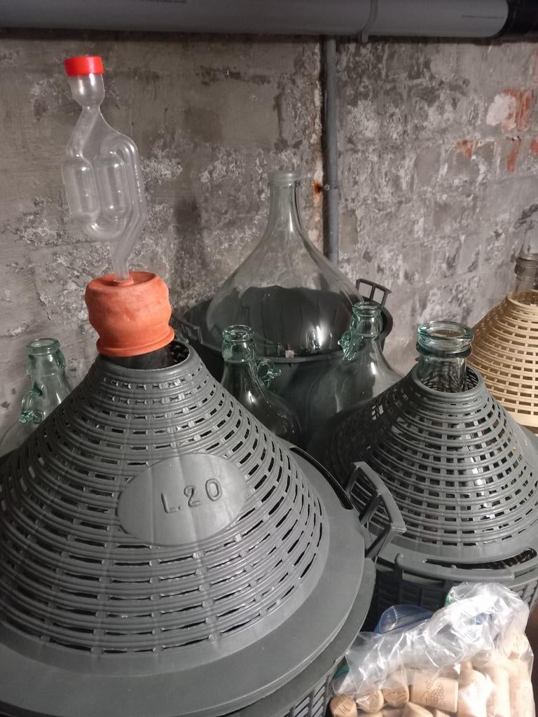 Zelf wijn maken, Hobby en Vrije tijd, Ophalen