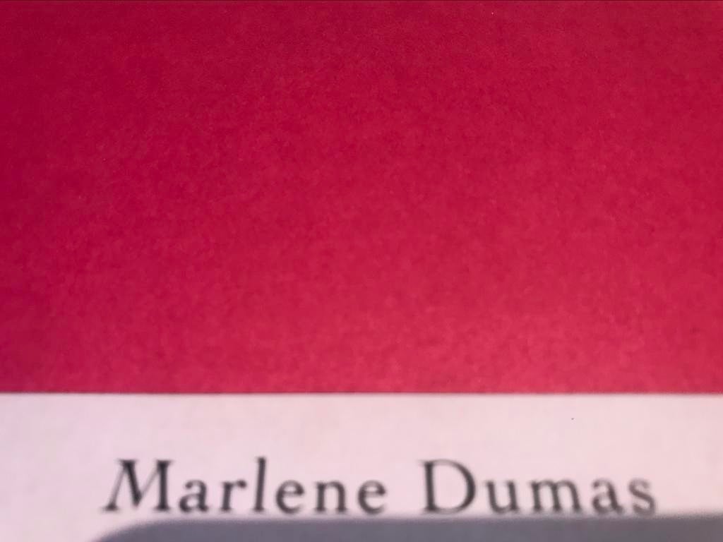 Marlene Dumas dessins 120pag, Boeken, Ophalen of Verzenden, Zo goed als nieuw, Schilder- en Tekenkunst