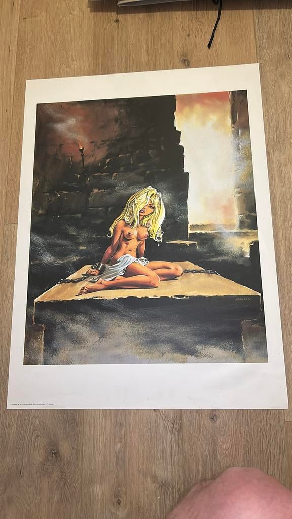Dany print Rosehip Pigeon Wing Battle 1985, Collections, Enlèvement ou Envoi, Comme neuf