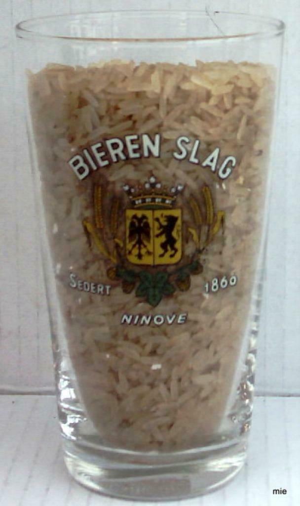 Bier brouwerij glas Slag Slaghmuylder Ninove, Verzamelen, Ophalen of Verzenden, Zo goed als nieuw, Bierglas