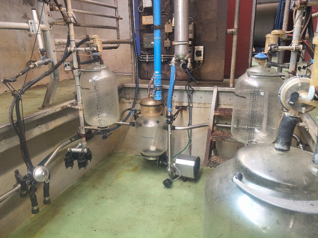 Melkstal delaval