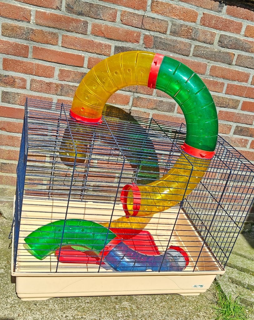 Kooi voor fretten, Rat, Cage, Utilisé, 60 à 90 cm