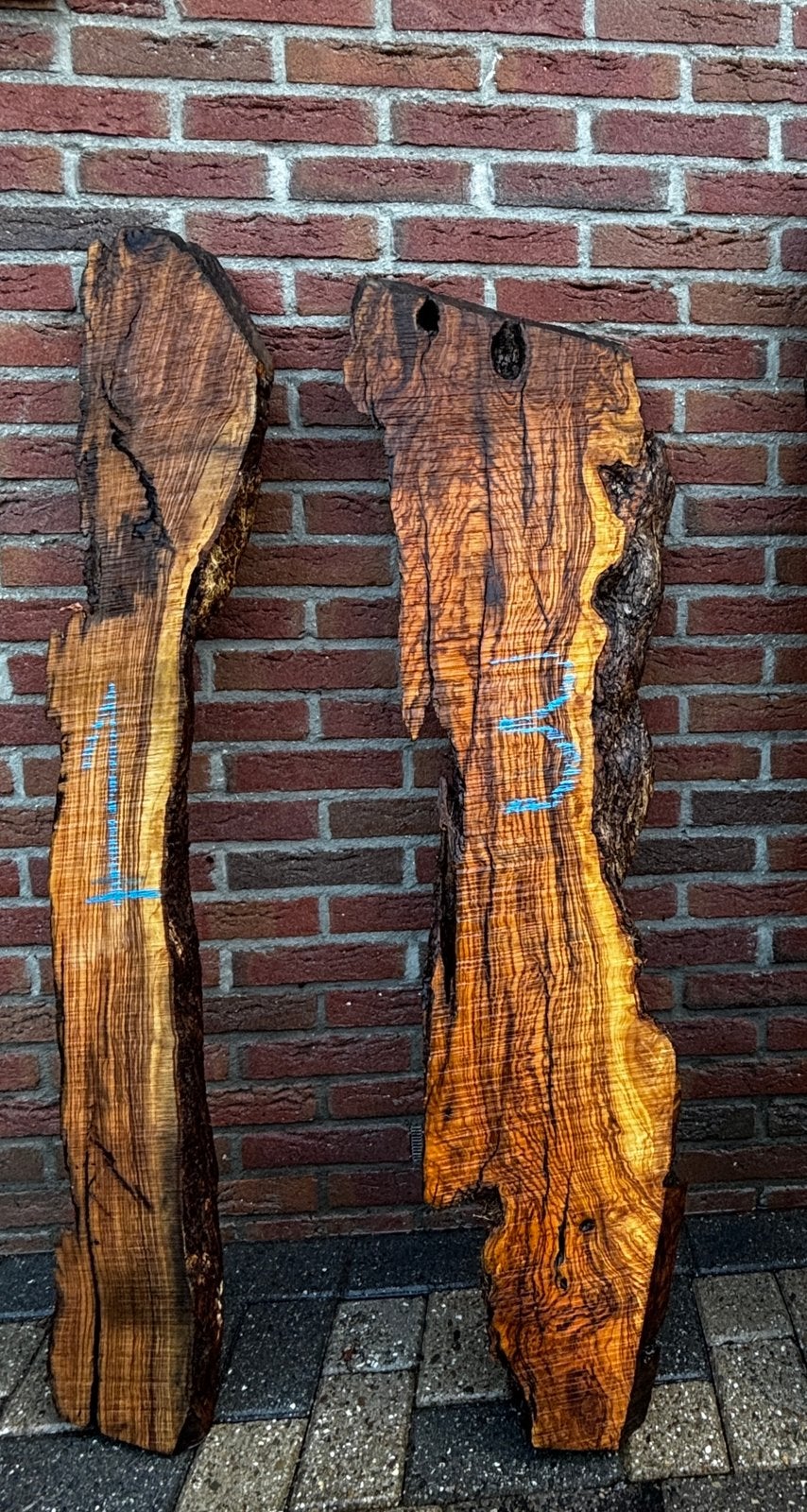 Massief olijfhout slabben/ schaaldelen olive wood, Neuf, Moins de 200 cm, Autres essences de bois, Enlèvement