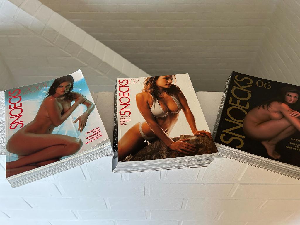 3 boeken SNOECKS, Gelezen, Diverse auteurs, Ophalen of Verzenden, Overige onderwerpen