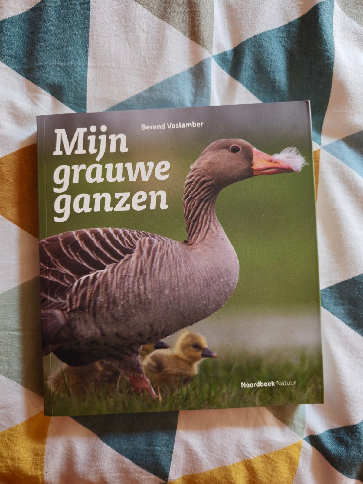 Berend Voslamber - Mijn grauwe ganzen, Ophalen, Vogels, Berend Voslamber