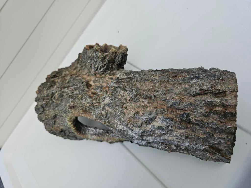 Schuil grot voor vissen of reptielen, Dieren en Toebehoren, Ophalen, Zo goed als nieuw, Tak, Plant, Rots of Steen