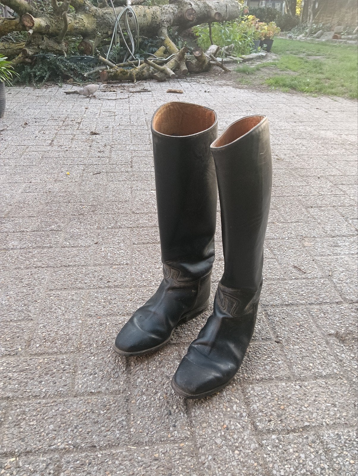 Heren rijlaarzen. Maat 41. Leer., Dieren en Toebehoren, Ophalen, Gebruikt, Heren, Overige merken