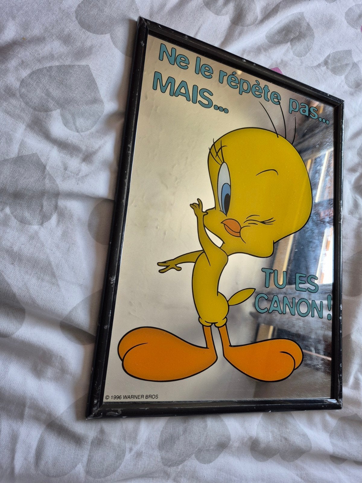 kader tweety vintage 38cm hoog 28cm breed 1996 warner bros, Ophalen of Verzenden