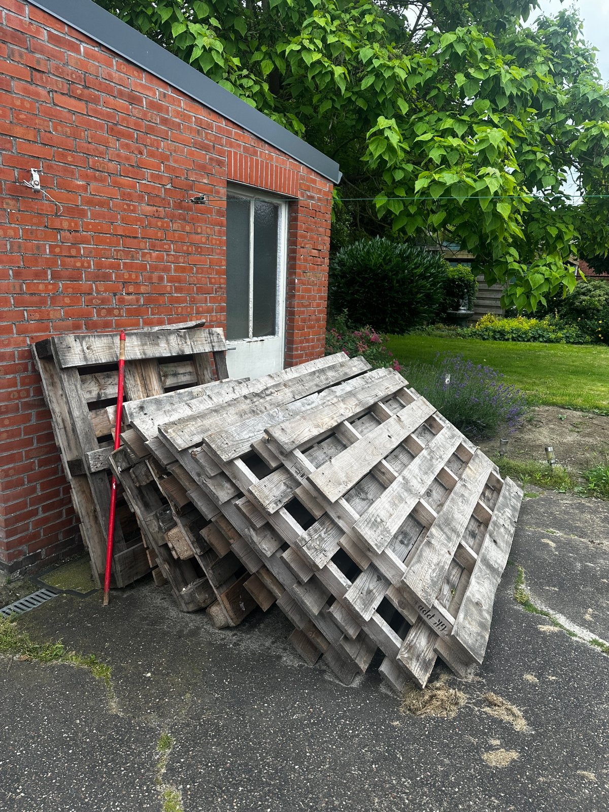 palettes en bois, Enlèvement, Comme neuf, Palette