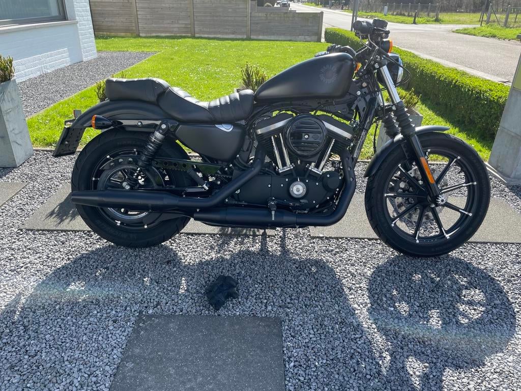 Harley Davidson Iron 883, Motoren, 883 cc, Particulier, LED Verlichting, 2 cilinders