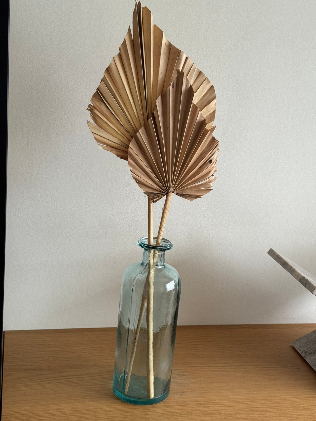 Gedroogde palmbladen met glazen vaas | boho decoratie, Maison & Meubles, Accessoires pour la Maison | Fleurs séchées, Enlèvement ou Envoi