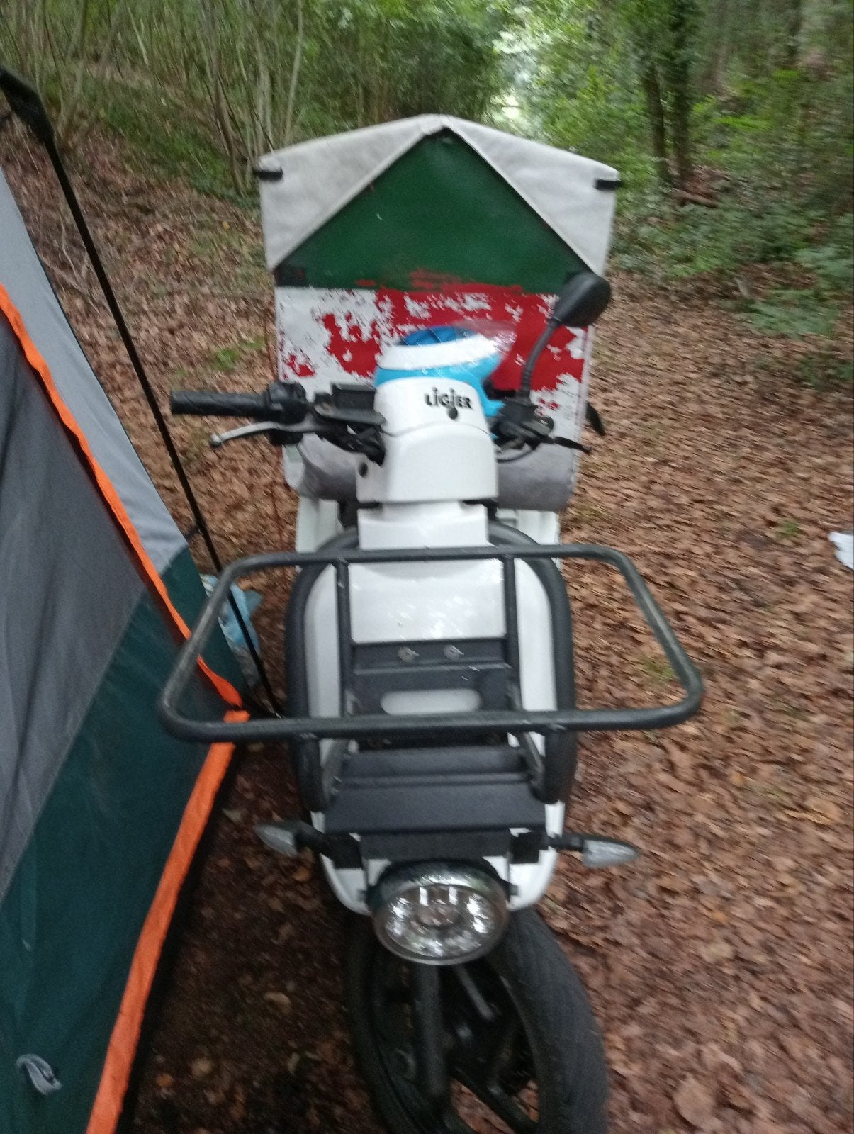 scooter électrique Ligier, Animaux & Accessoires, Voitures & Carrosses, Utilisé, Autres types