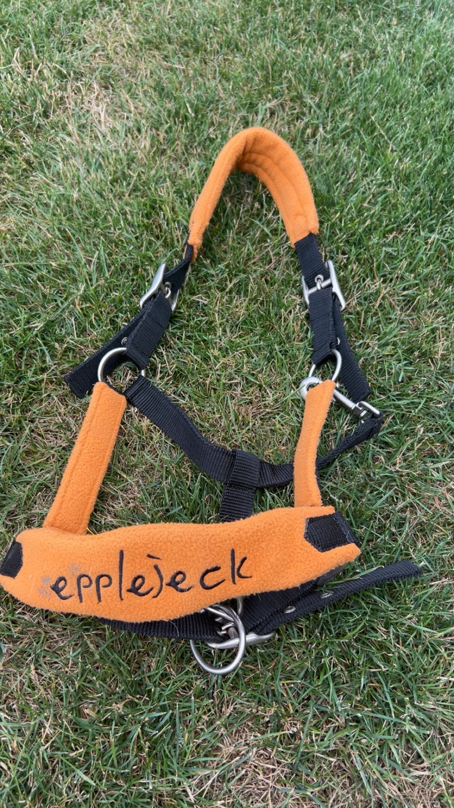 Epplejeck halster cob, Dieren en Toebehoren, Ophalen, Cob, Verstelbaar, Oranje