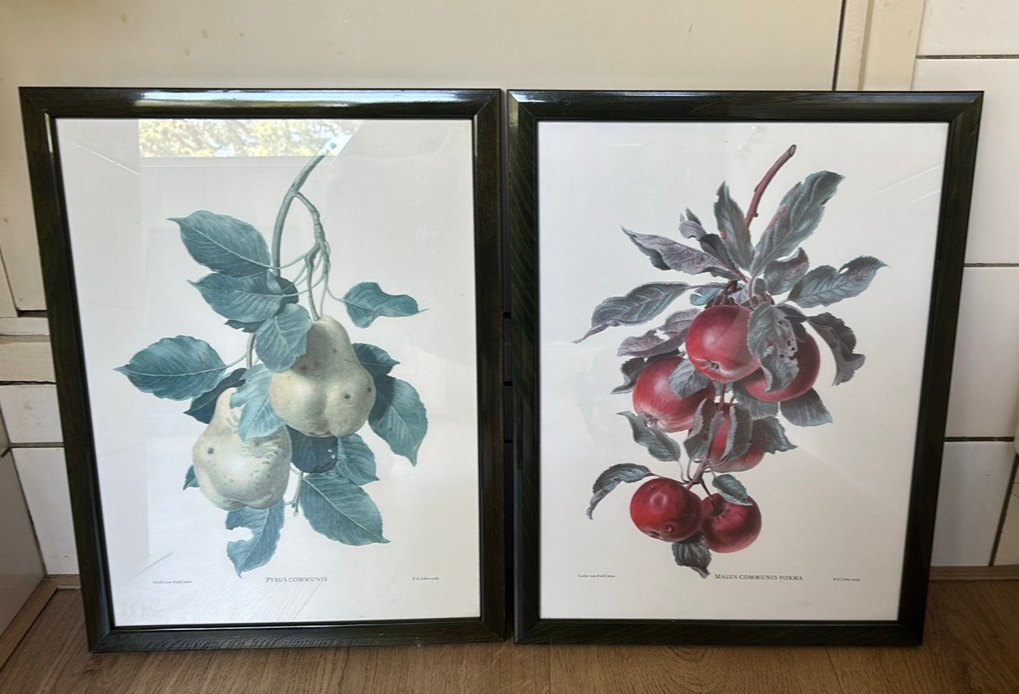 GRATIS Appels en Peren in kader , ook apart, Ophalen, Zo goed als nieuw