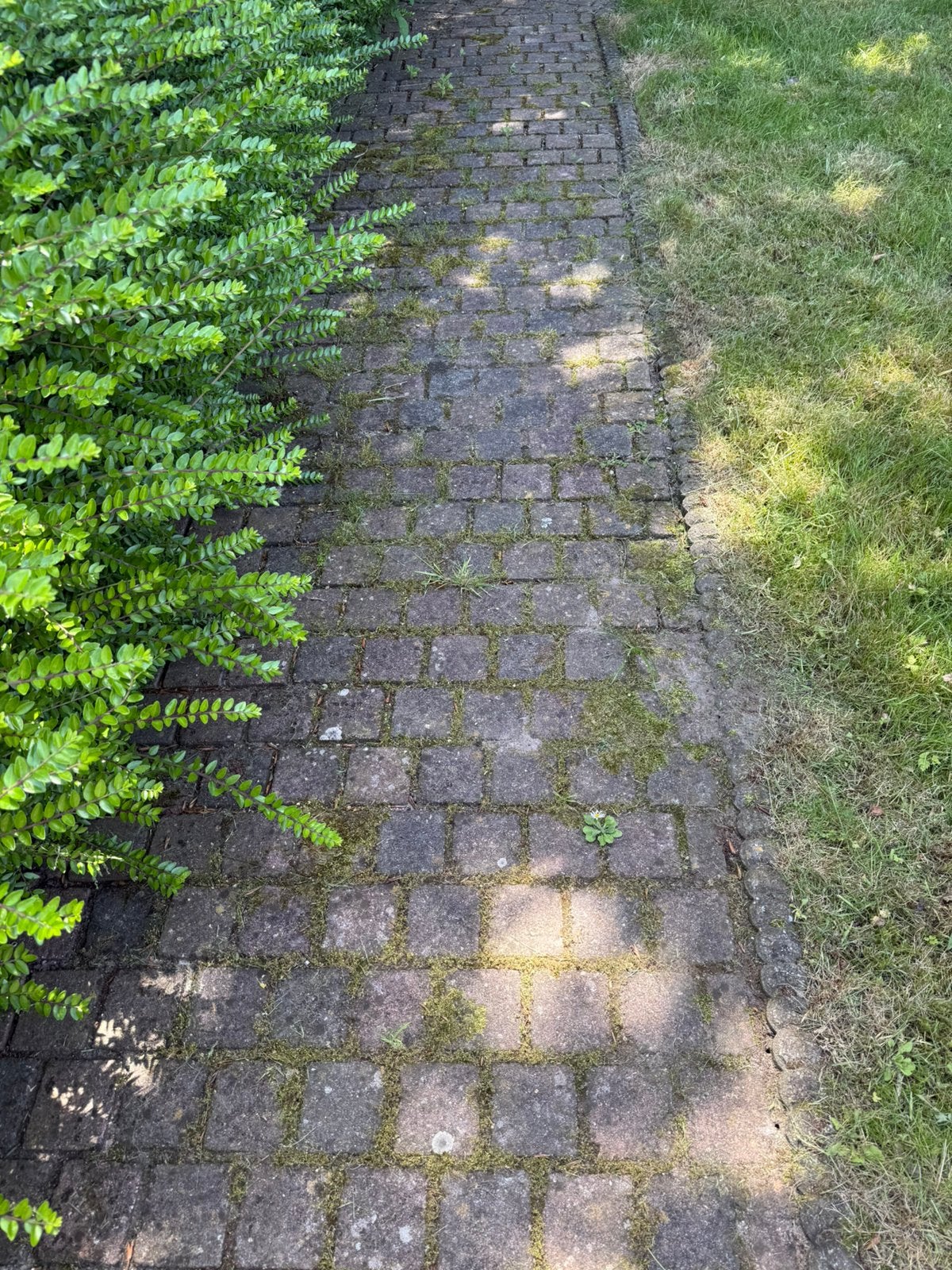 Gratis betonklinkers 10x10x4, Ophalen, Zo goed als nieuw