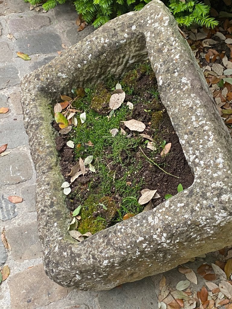 Oude zware bloembak, Enlèvement