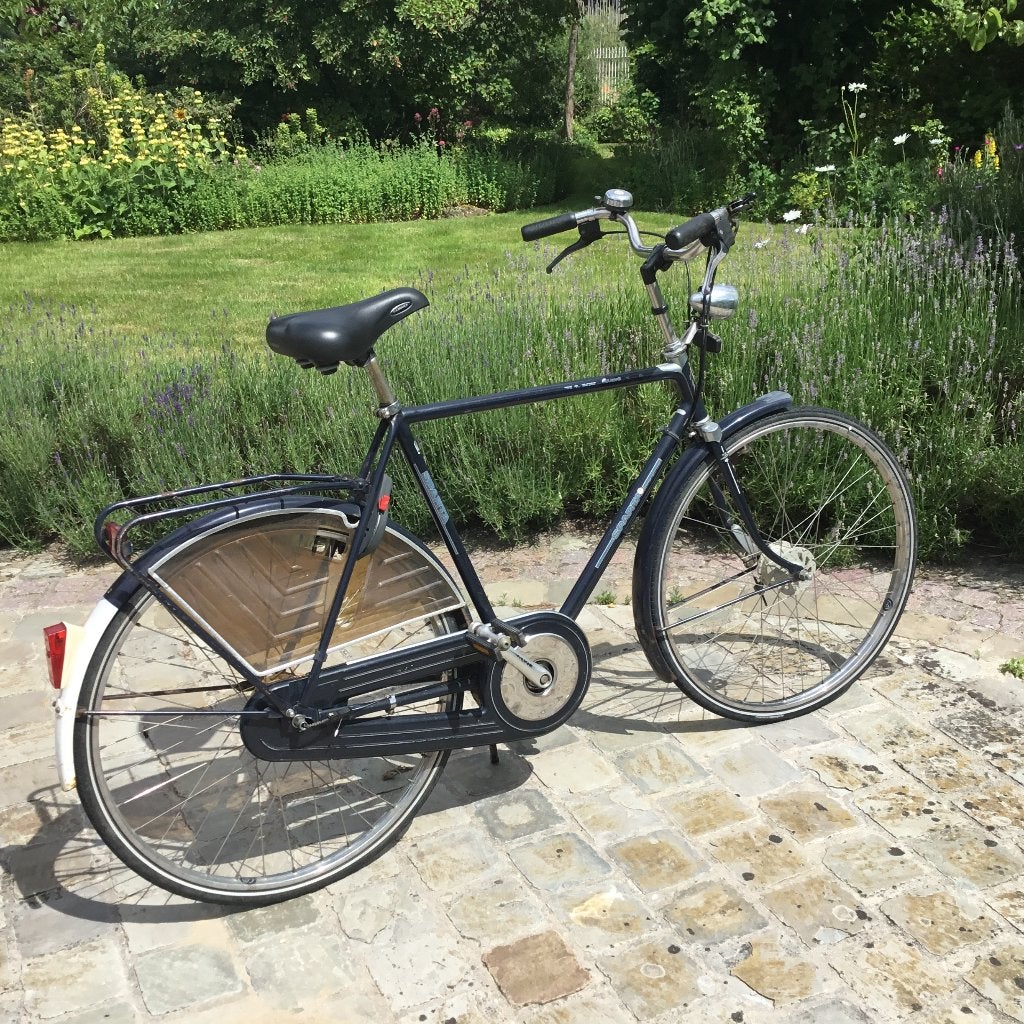 Vélo Sparta pour homme, Enlèvement, Utilisé, Sparta, Vitesses